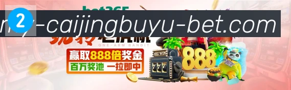 未来规划